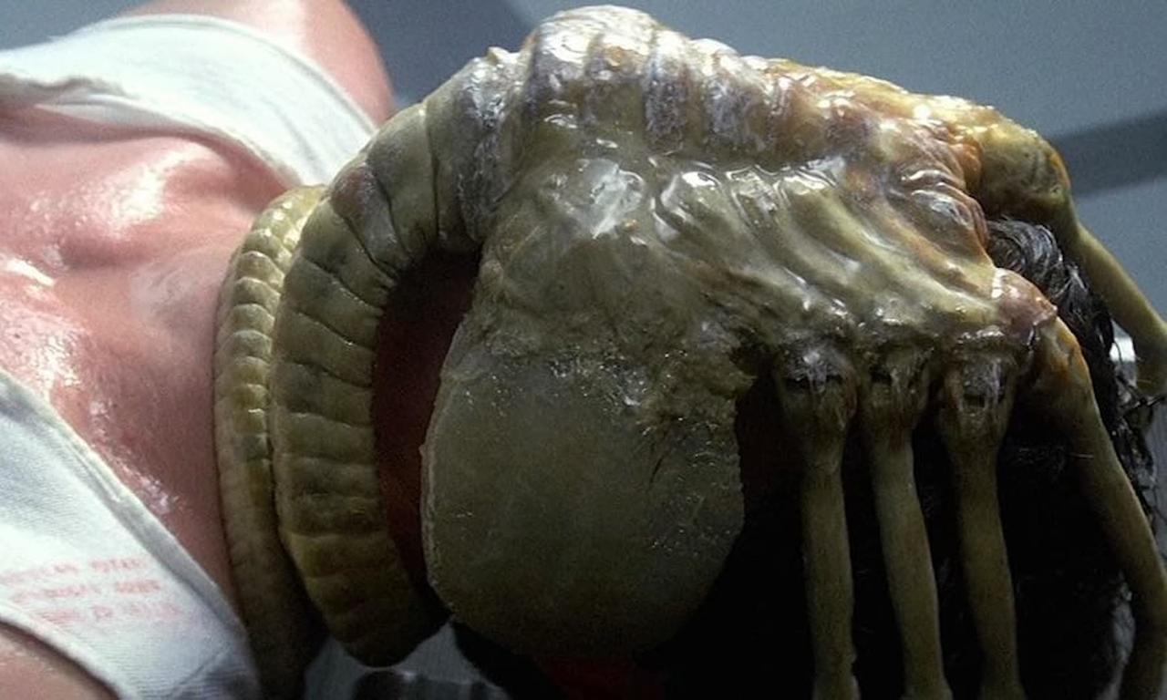 Facehugger in Alien