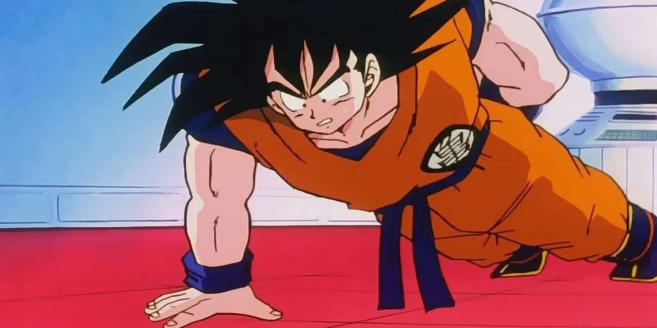 Dragon Ball training