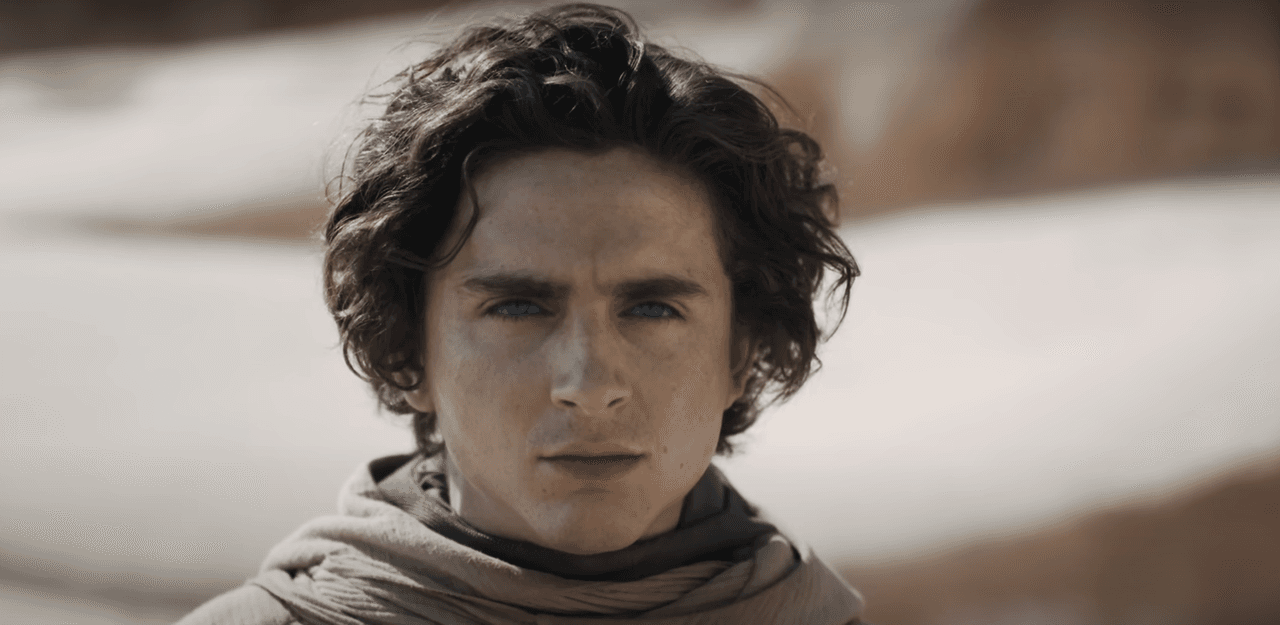 Timothee Chalamet in Dune 2