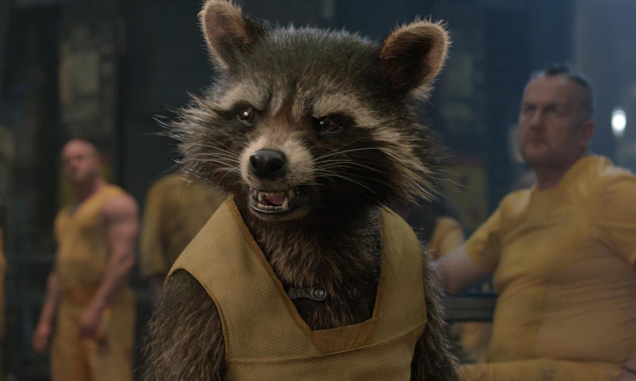 Rocket Raccoon in Guardians of the Galaxy