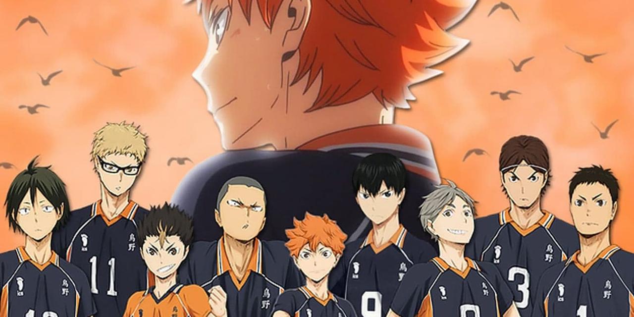 Hinata's Back Haikyuu poster