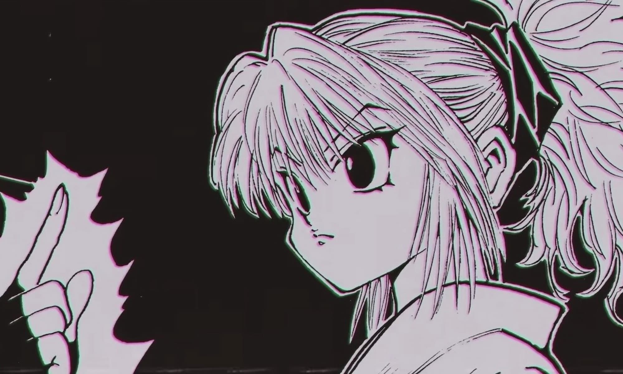 Hunter X Hunter Simple Panel