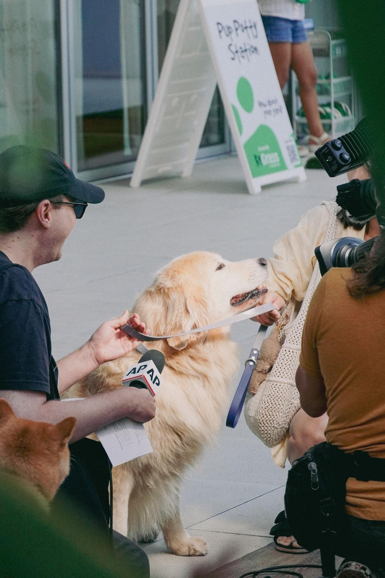 A dog at the Milk-Bone screening of Superman in Los Angeles