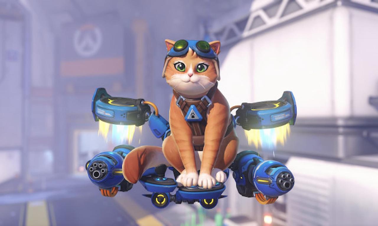 Overwatch New Character Cat