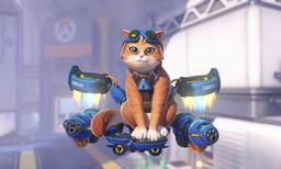 Overwatch New Character Cat