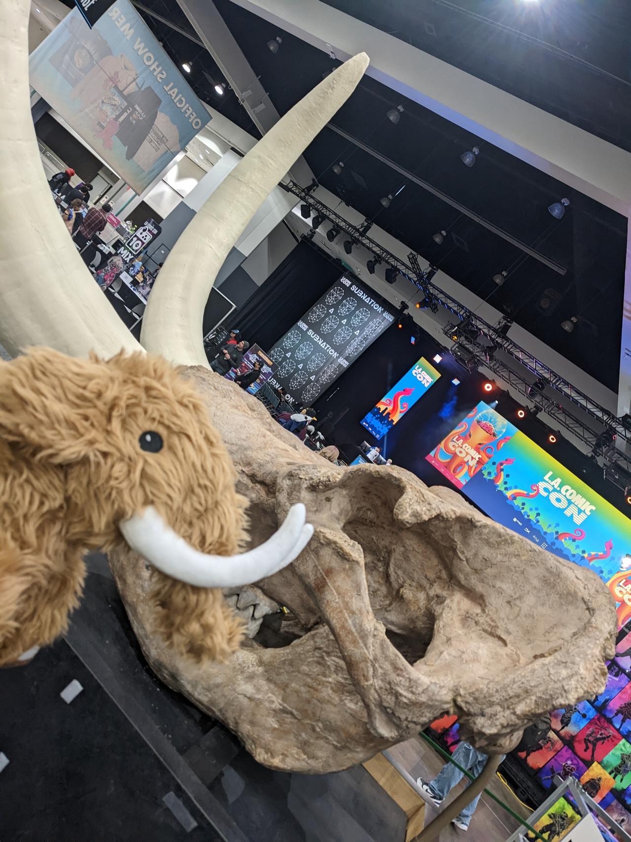 Photograph of a stuffed animal mastodon compared to a large replica of a mastodon skull. both mastodons are named Max.