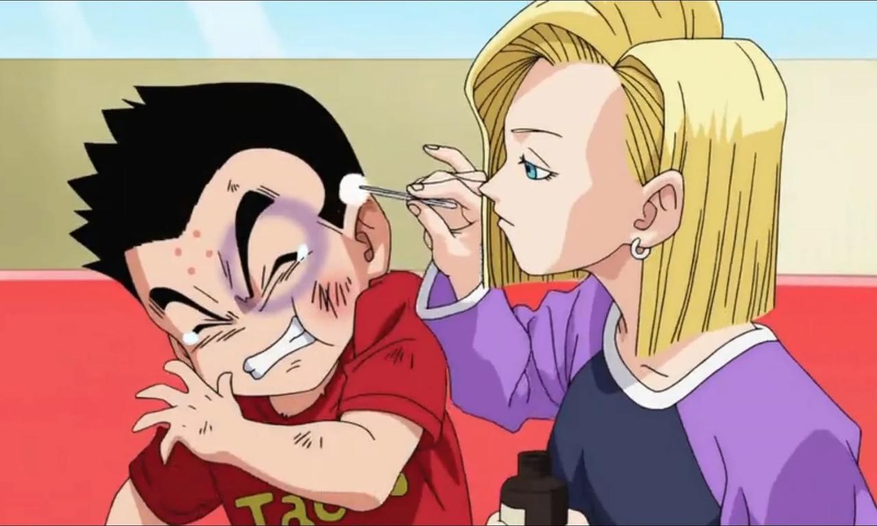 Android 18 And Krillin In Dragon Ball Super