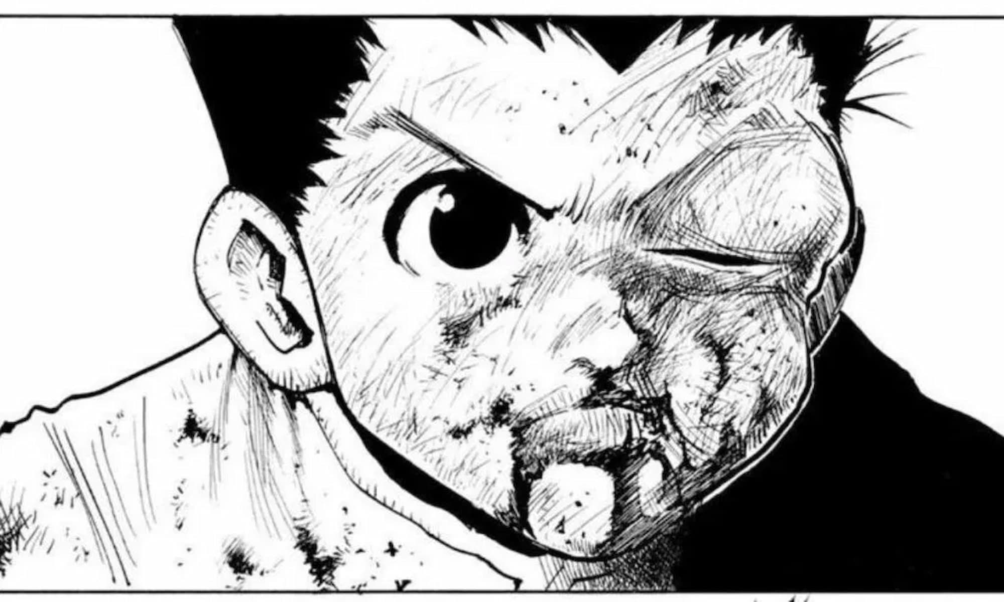 Hunter X Hunter Gon Beat Up Panel