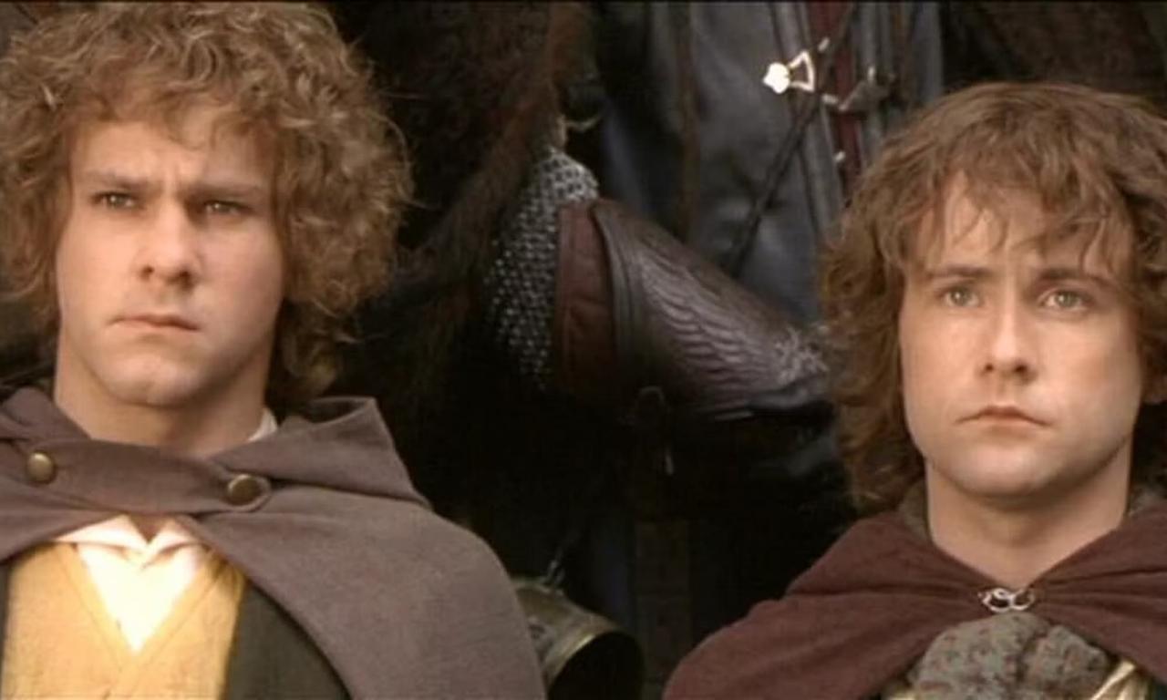Merry And Pippen Lord Of The Rings