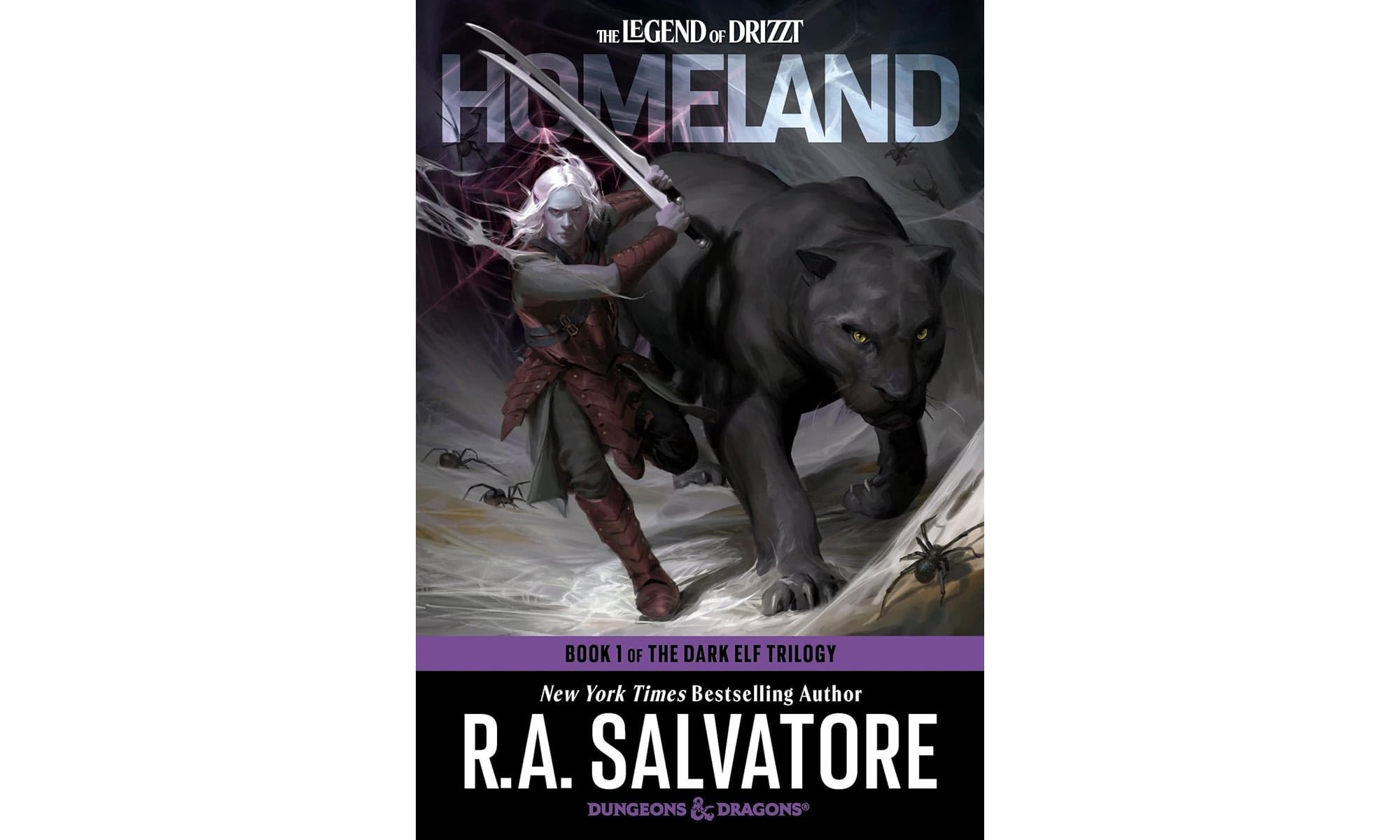 The cover of Homeland by R.A. Salvatore