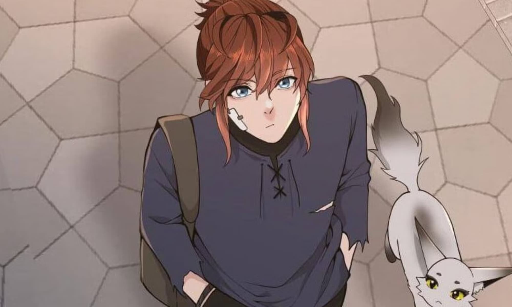 The Beginning After The End Panel